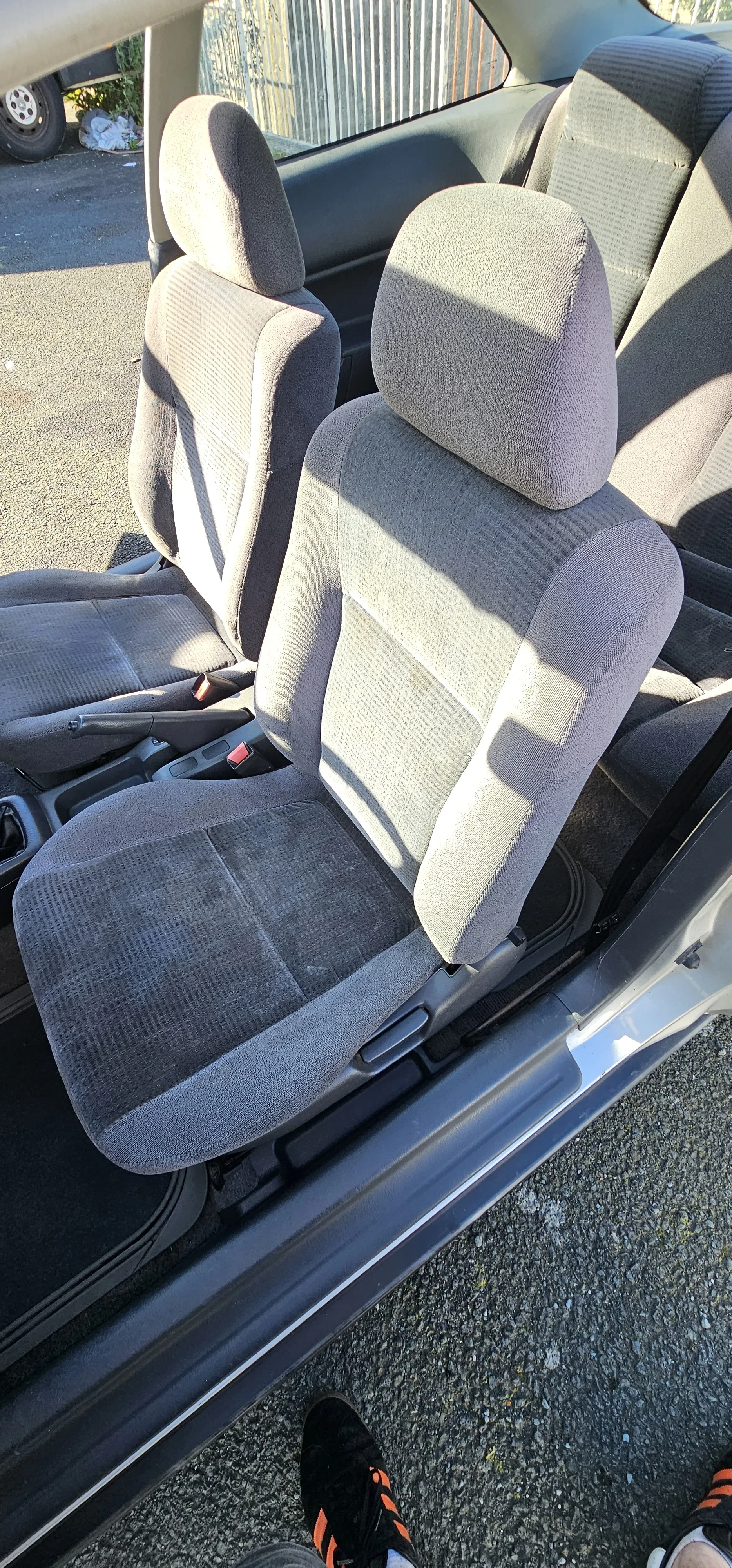 Mould removal result on car interior in Devon